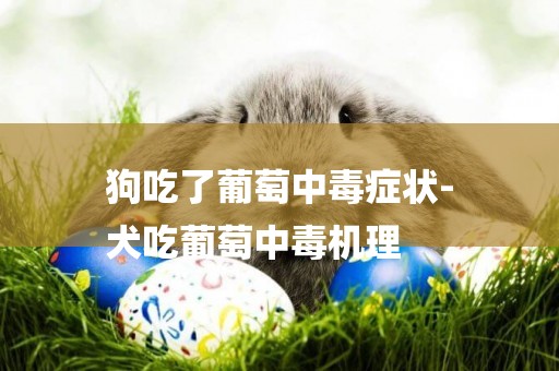 狗吃了葡萄中毒癥狀-
犬吃葡萄中毒機理