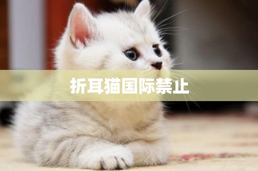 折耳貓國際禁止
