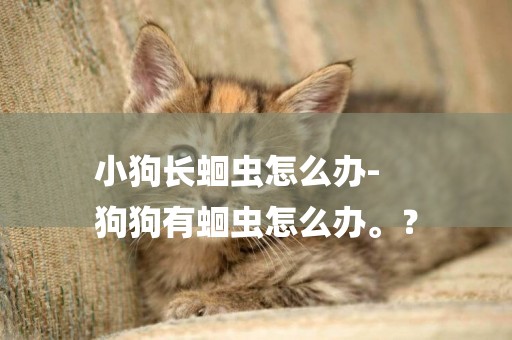 小狗長蛔蟲怎么辦-
狗狗有蛔蟲怎么辦。？