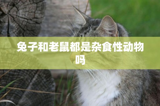 兔子和老鼠都是雜食性動物嗎