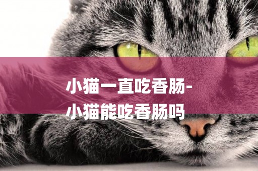 小貓一直吃香腸-
小貓能吃香腸嗎