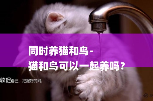 同時養貓和鳥-
貓和鳥可以一起養嗎？