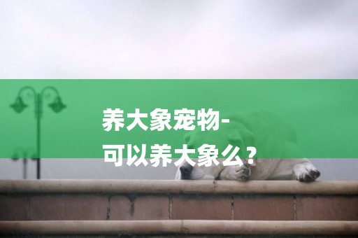 養大象寵物-
可以養大象么？
