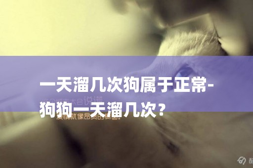 一天溜幾次狗屬于正常-
狗狗一天溜幾次？
