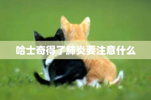 哈士奇得了肺炎要注意什么