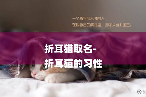 折耳貓取名-
折耳貓的習性