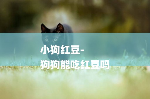 小狗紅豆-
狗狗能吃紅豆嗎