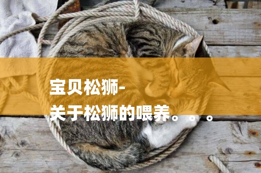 寶貝松獅-
關于松獅的喂養。。。