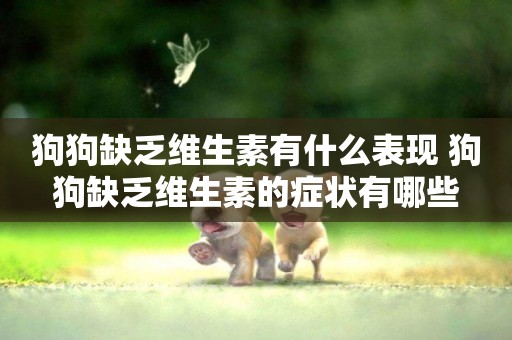 狗狗缺乏維生素有什么表現 狗狗缺乏維生素的癥狀有哪些