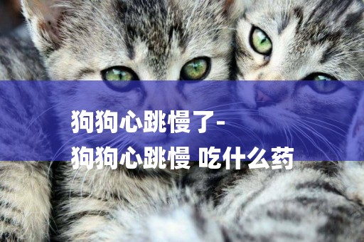 狗狗心跳慢了-
狗狗心跳慢 吃什么藥