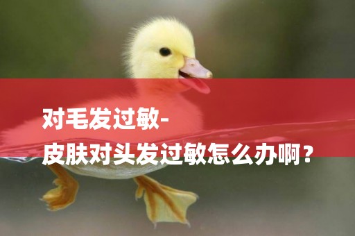 對毛發過敏-
皮膚對頭發過敏怎么辦啊？
