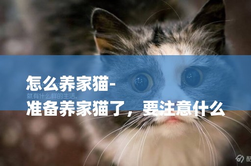 怎么養家貓-
準備養家貓了，要注意什么