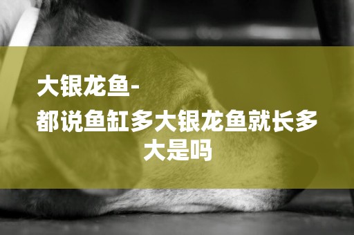 大銀龍魚-
都說魚缸多大銀龍魚就長多大是嗎