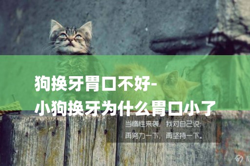 狗換牙胃口不好-
小狗換牙為什么胃口小了