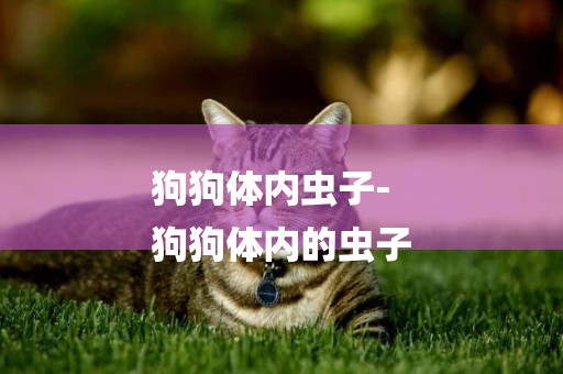 狗狗體內蟲子-
狗狗體內的蟲子