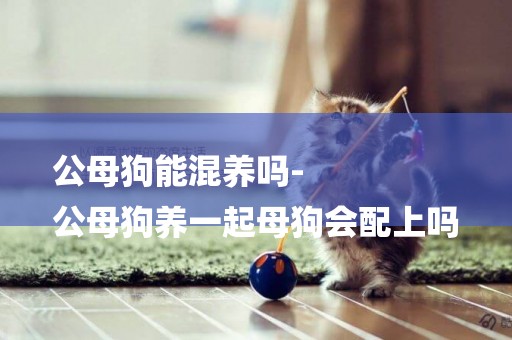 公母狗能混養嗎-
公母狗養一起母狗會配上嗎