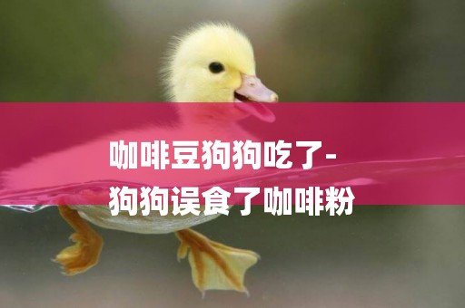 咖啡豆狗狗吃了-
狗狗誤食了咖啡粉