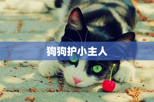 狗狗護小主人