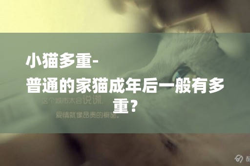 小貓多重-
普通的家貓成年后一般有多重？