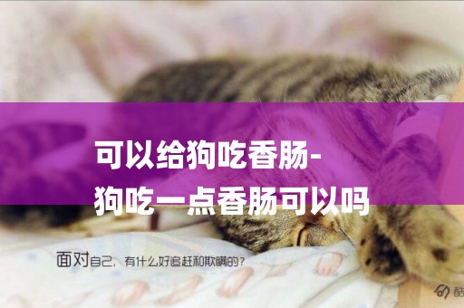 可以給狗吃香腸-
狗吃一點香腸可以嗎