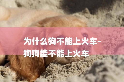 為什么狗不能上火車-
狗狗能不能上火車