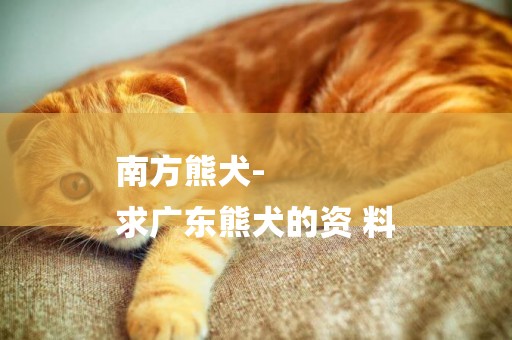 南方熊犬-
求廣東熊犬的資 料
