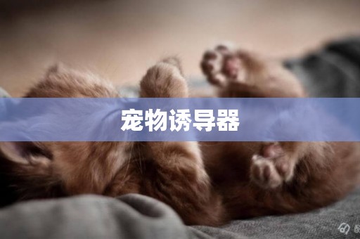 寵物誘導器