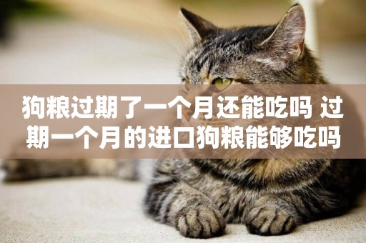 狗糧過期了一個月還能吃嗎 過期一個月的進口狗糧能夠吃嗎