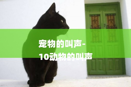 寵物的叫聲-
10動物的叫聲