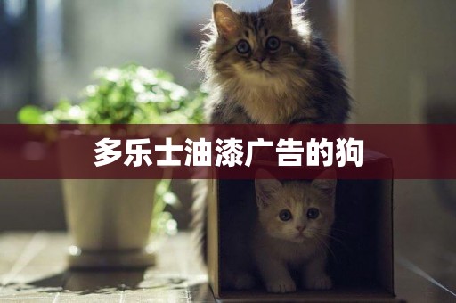 多樂士油漆廣告的狗