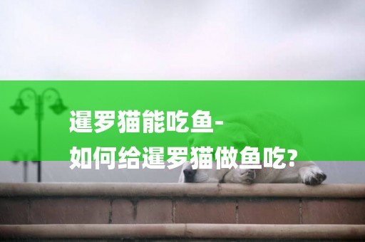 暹羅貓能吃魚-
如何給暹羅貓做魚吃?