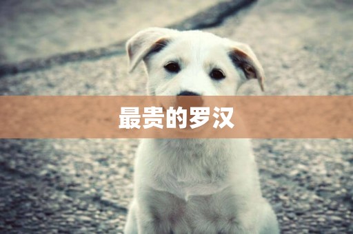 最貴的羅漢