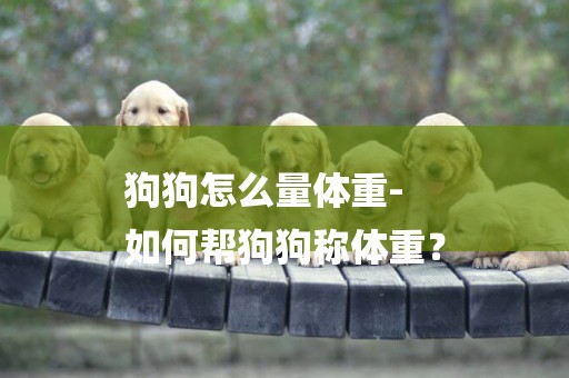 狗狗怎么量體重-
如何幫狗狗稱體重？