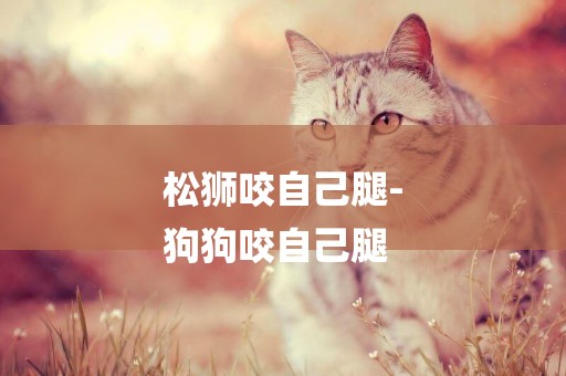 松獅咬自己腿-
狗狗咬自己腿