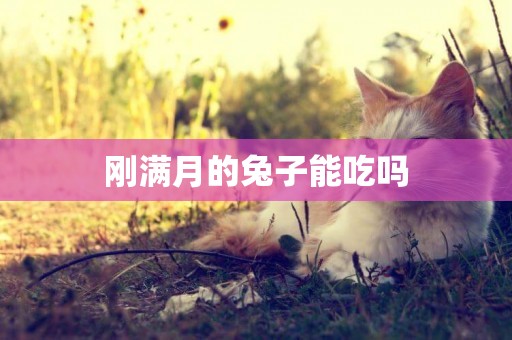 剛滿月的兔子能吃嗎