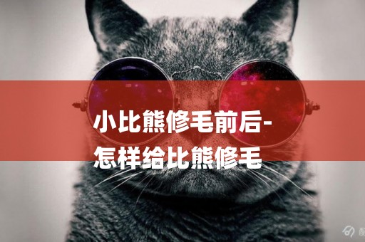 小比熊修毛前后-
怎樣給比熊修毛