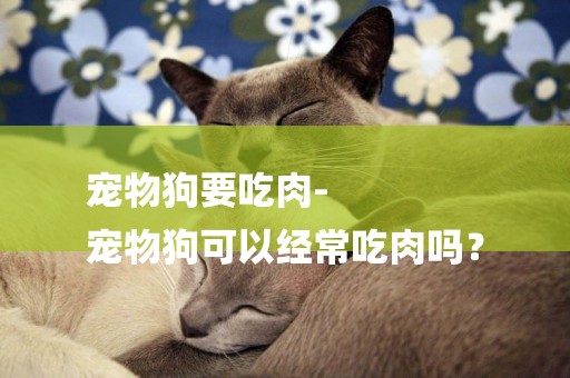 寵物狗要吃肉-
寵物狗可以經常吃肉嗎？