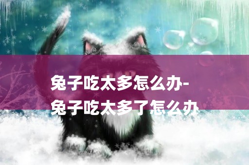 兔子吃太多怎么辦-
兔子吃太多了怎么辦