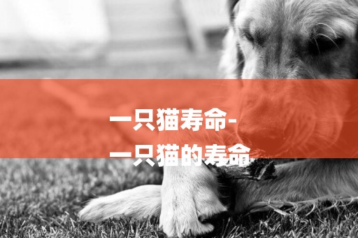 一只貓壽命-
一只貓的壽命