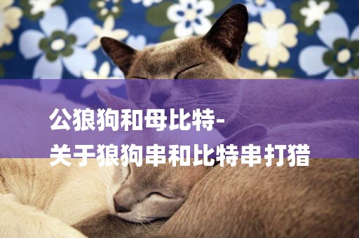 公狼狗和母比特-
關于狼狗串和比特串打獵