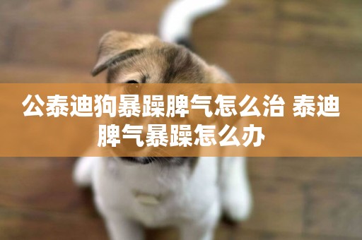 公泰迪狗暴躁脾氣怎么治 泰迪脾氣暴躁怎么辦