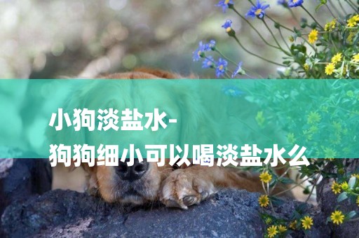 小狗淡鹽水-
狗狗細小可以喝淡鹽水么
