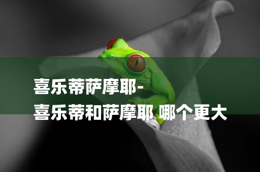 喜樂蒂薩摩耶-
喜樂蒂和薩摩耶 哪個更大