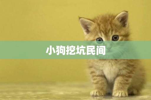 小狗挖坑民間
