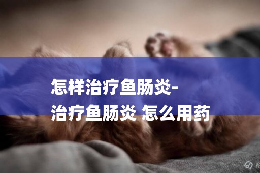 怎樣治療魚腸炎-
治療魚腸炎 怎么用藥