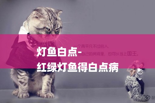 燈魚白點-
紅綠燈魚得白點病