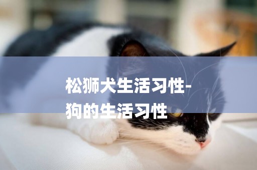 松獅犬生活習性-
狗的生活習性