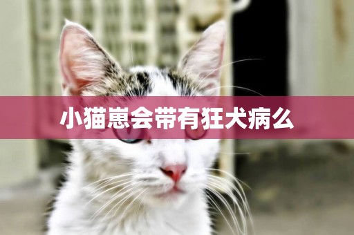 小貓崽會帶有狂犬病么