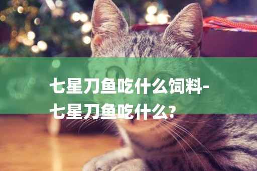 七星刀魚吃什么飼料-
七星刀魚吃什么?