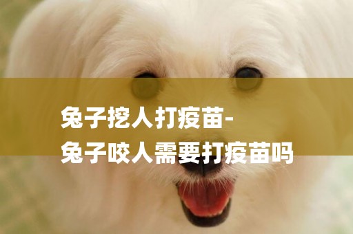 兔子挖人打疫苗-
兔子咬人需要打疫苗嗎